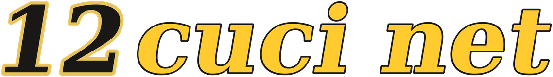 12cuci net logo